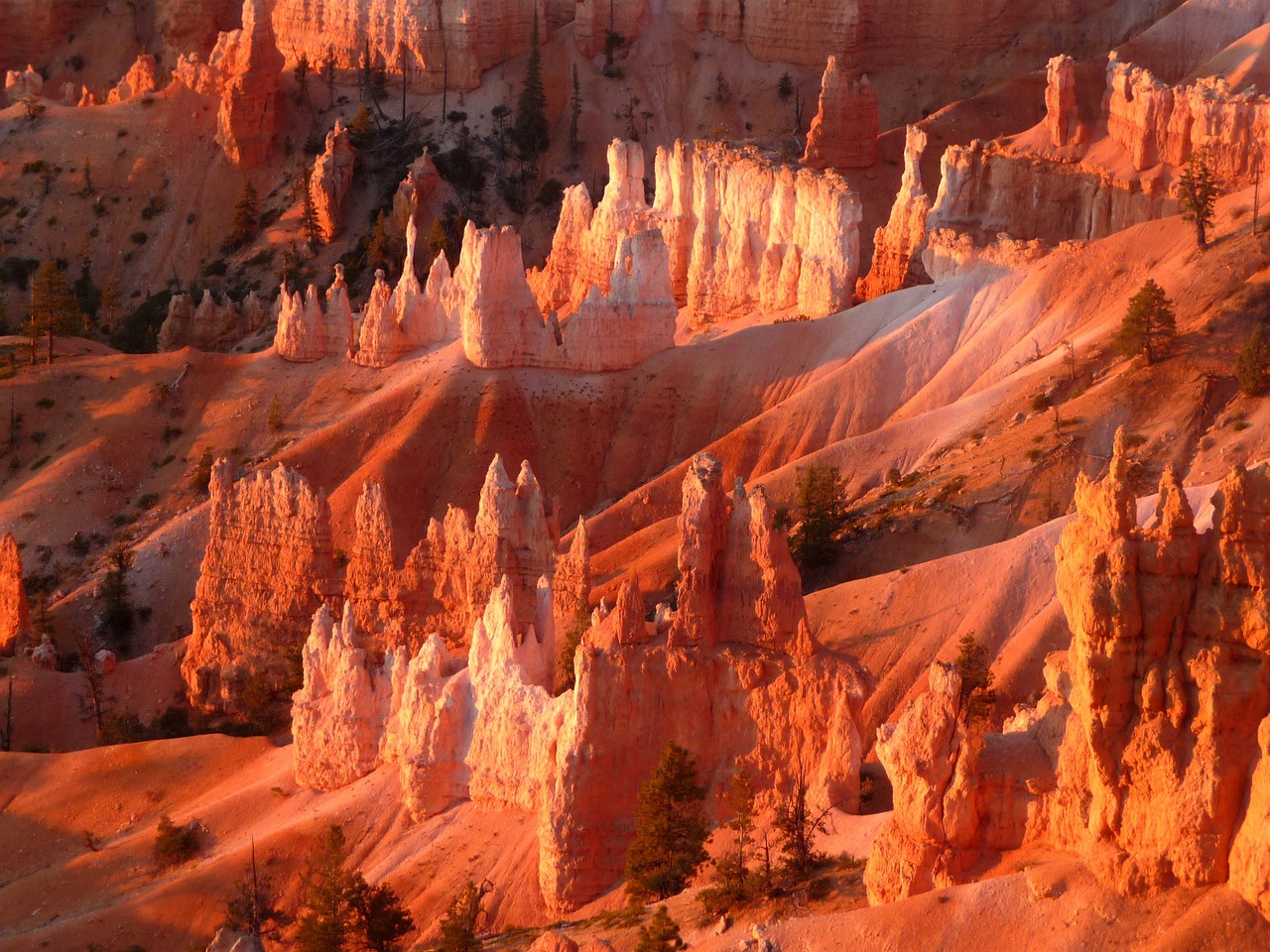 bryce canyon, national park, sunrise at bryce canyon-2681729.jpg