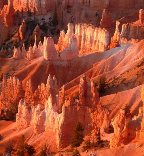 bryce canyon, national park, sunrise at bryce canyon-2681729.jpg